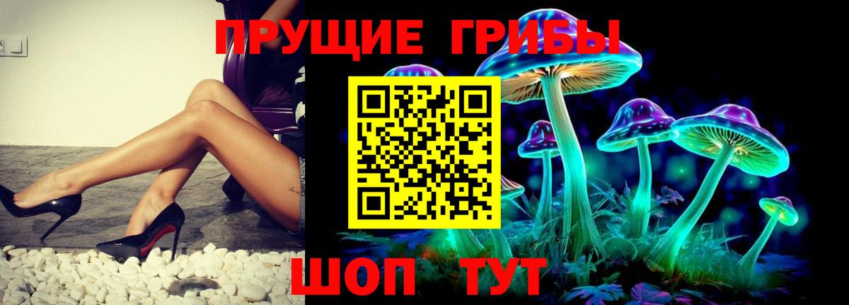 Галлюциногенные грибы Psilocybine cubensis Тосно